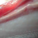 ����餯����