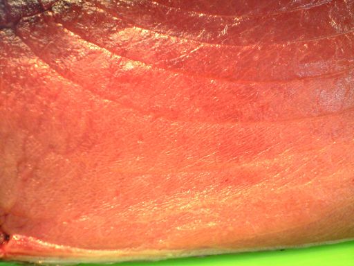 メバチマグロブロック メバチマグロブロック